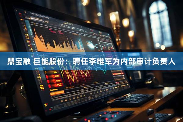 鼎宝融 巨能股份：聘任李维军为内部审计负责人