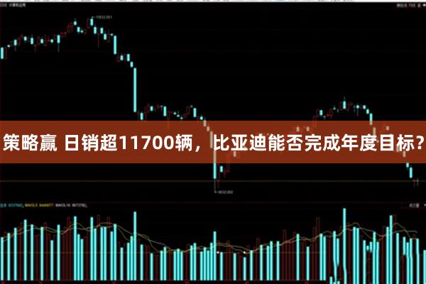 策略赢 日销超11700辆，比亚迪能否完成年度目标？