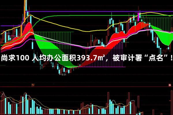 尚求100 人均办公面积393.7㎡，被审计署“点名”！